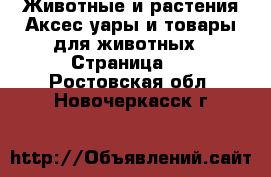 Животные и растения Аксесcуары и товары для животных - Страница 2 . Ростовская обл.,Новочеркасск г.